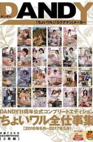 DANDY-566 Dandy 11th Anniversary Official Complete Edition Chihiwaru Work Collection &ltjune 2016 – May 2017&gt