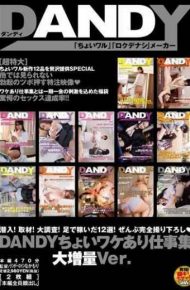 DANDY-409 Dandy Choi Different Reasons Work Collection Large Increase Ver.