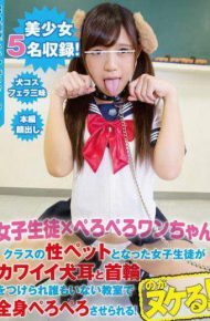 PKPD-012 Girls Student PERPETERO ONE CHANNEL Female Students Who Became Class Sex Pets Are Girls Wearing Kawaii Dogs Ears And Collars And They Are Made To Lick The Whole Body In The Classroom Where There Is No One!