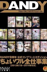 DANDY-389 &ltjune July 2014 2013&gt Wal Total Work Collection Choi Official Complete Edition Dandy8 Anniversary