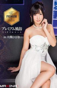 MXGS-926 MXGS-926 Otsuki Hibiki Premium Customs VIP