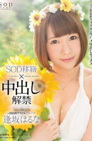 STAR-630 Osaka Haruna Ban Pies SOD Transfers
