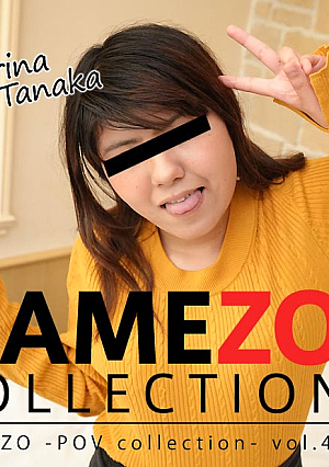 HZ-3075 HAMEZO -POV collection- vol.49 – คาริน่า ทานากะ